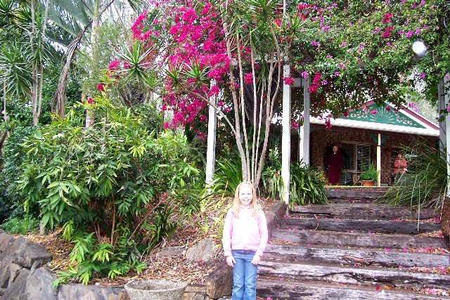 Dahlin 2006