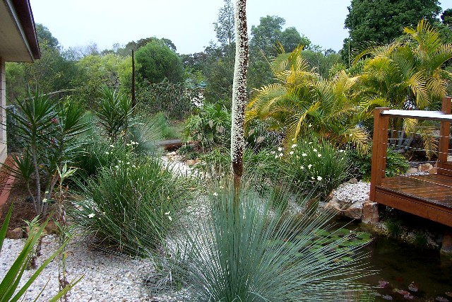 Sorrenson 2006