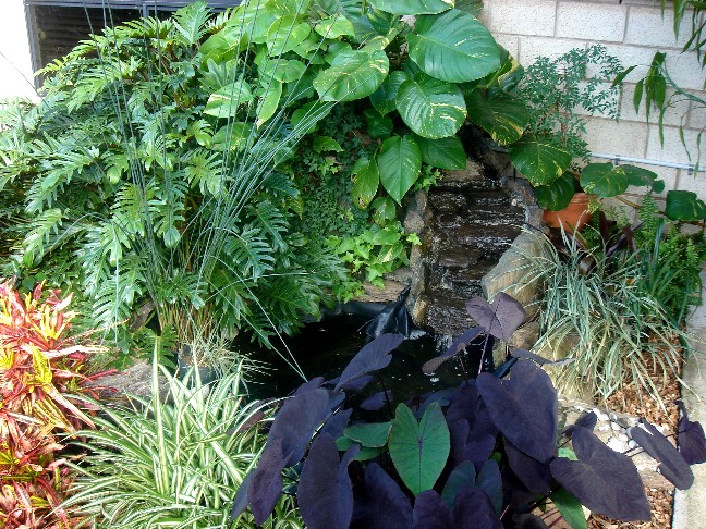Fraser Garden 2010