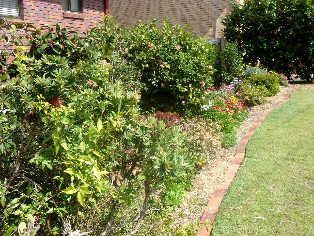 Murphy Garden 2010