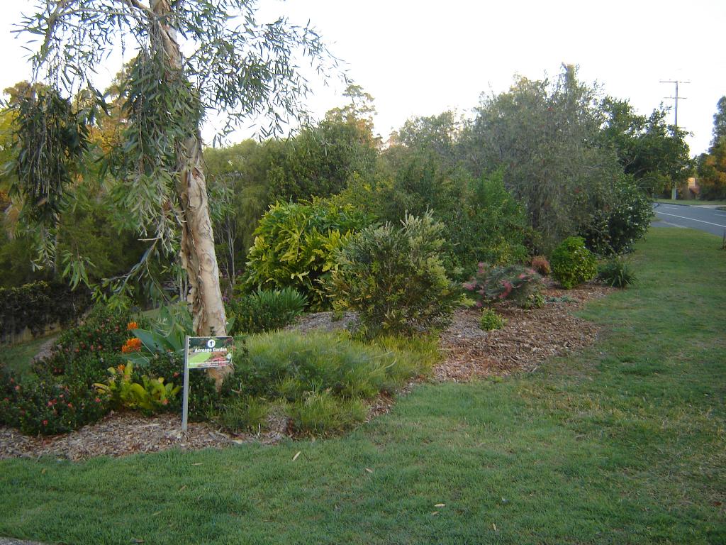 Geddes Garden 2010