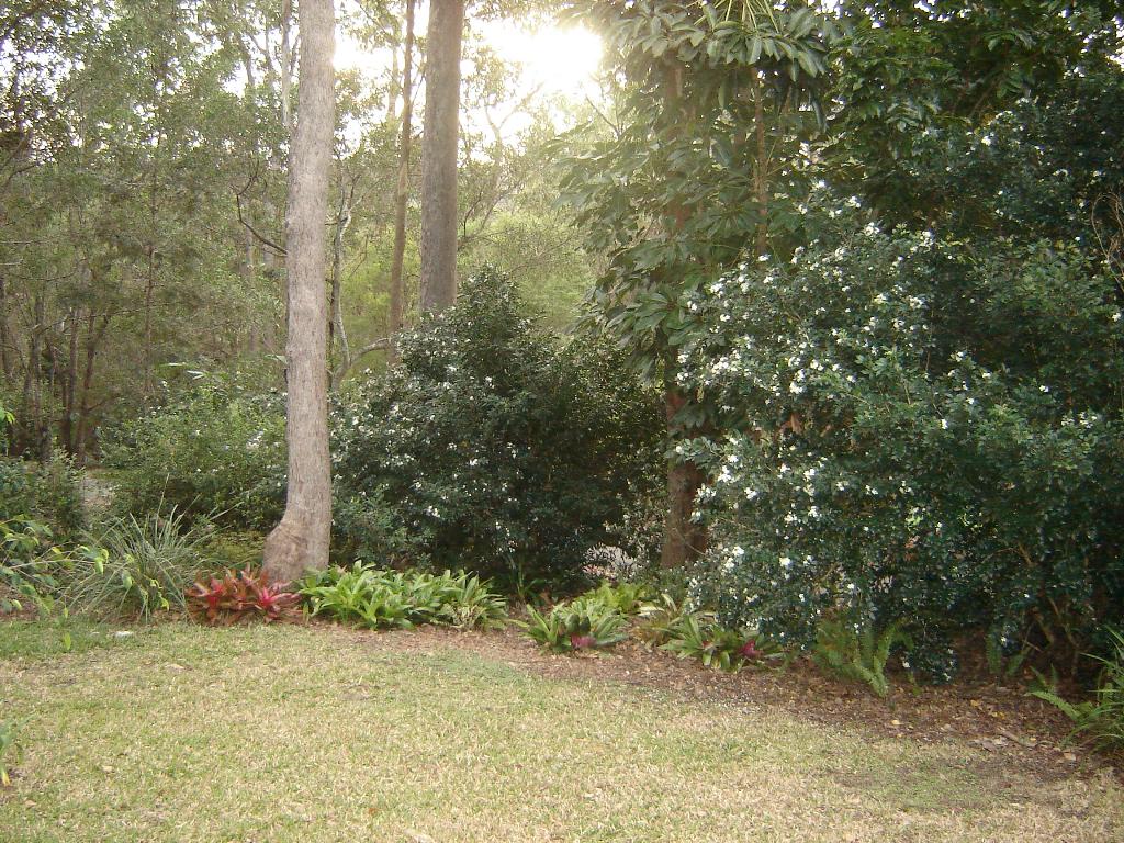 Geddes Garden 2010
