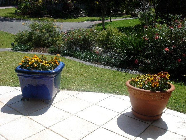 Bowen Garden 2010