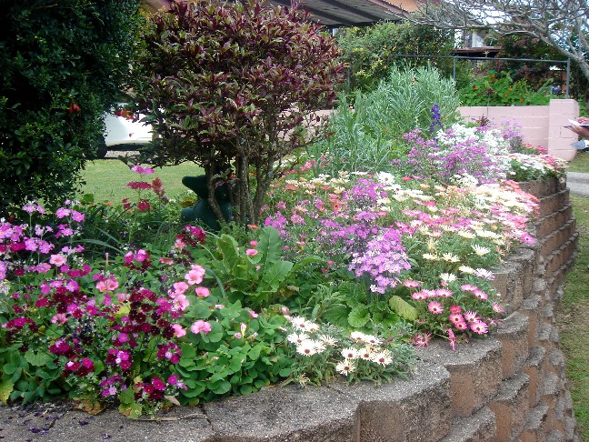 Donovan Garden 2010