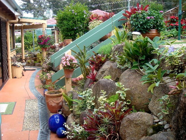 Ellis Garden 2010