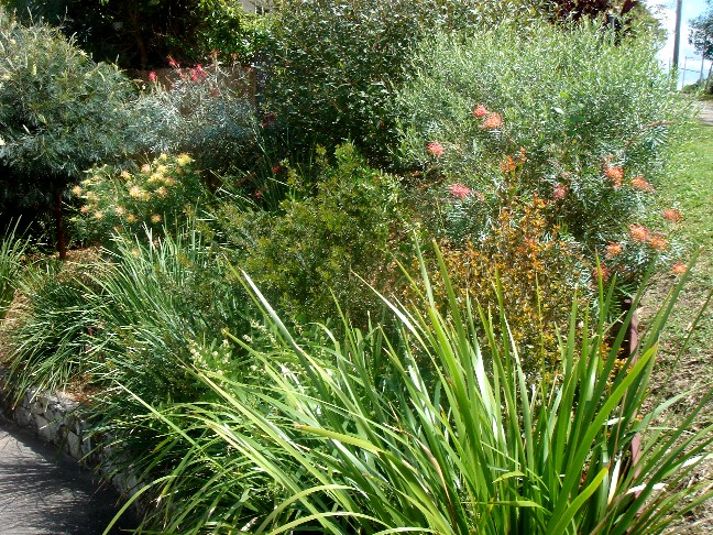 Mischke-Creagh Garden 2010