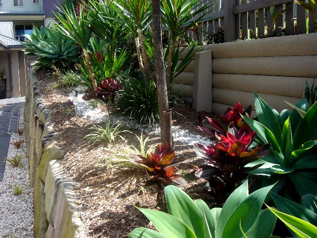 Pownall Garden 2010
