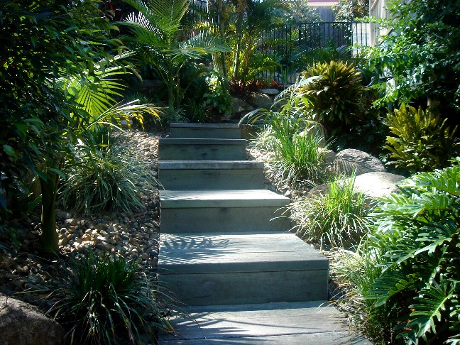 Smith Garden 2010