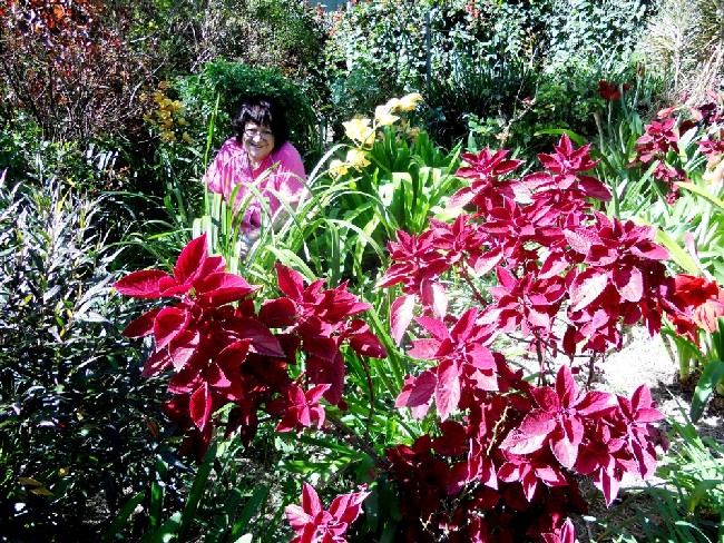 Bullimore Garden 2011