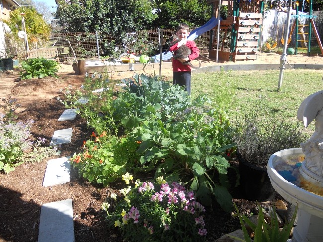 Coleman Garden 2011