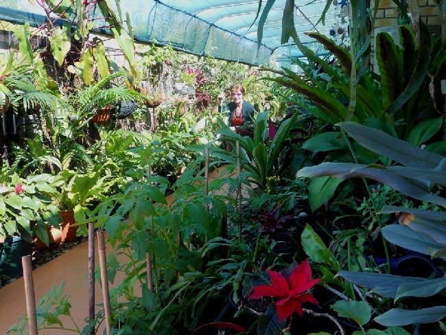 Horton Garden 2011