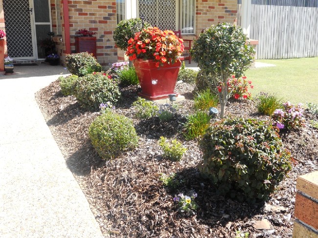 Matthews Garden 2011