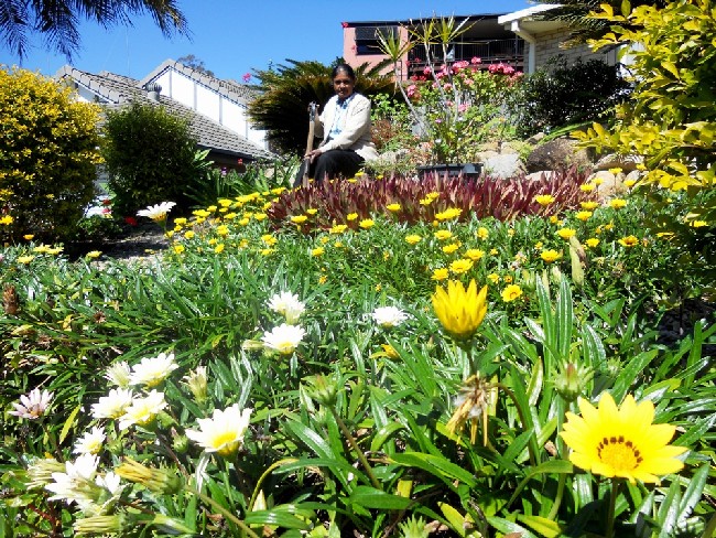 Selvakumar Garden 2011