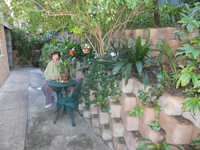 Fulbohm Garden 2011