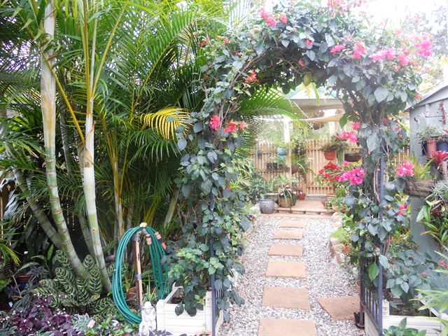 Ellis Garden 2012