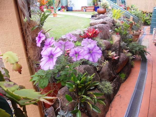 Ellis Garden 2012