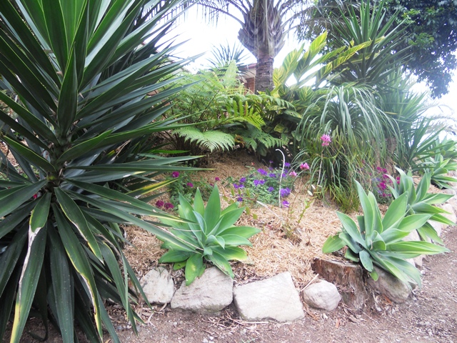 Stanton Garden 2012