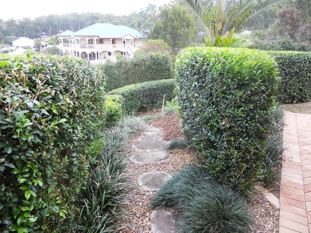Stanton Garden 2012